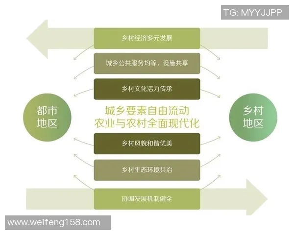 广州极限运动队的运营模式与发展趋势深度解析