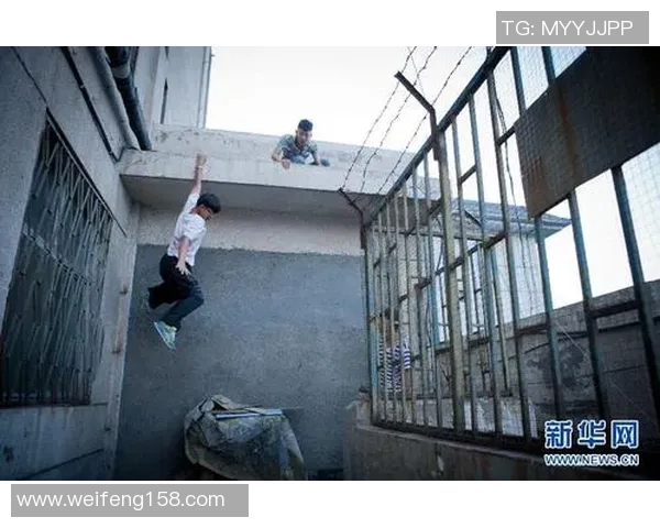 成都极限运动队的拼搏故事与梦想追逐全景纪实