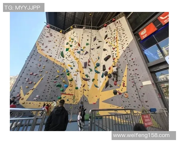 深圳攀岩队实力深度对比及未来发展潜力分析 深圳攀岩队实力深度对比及未来发展潜力分析