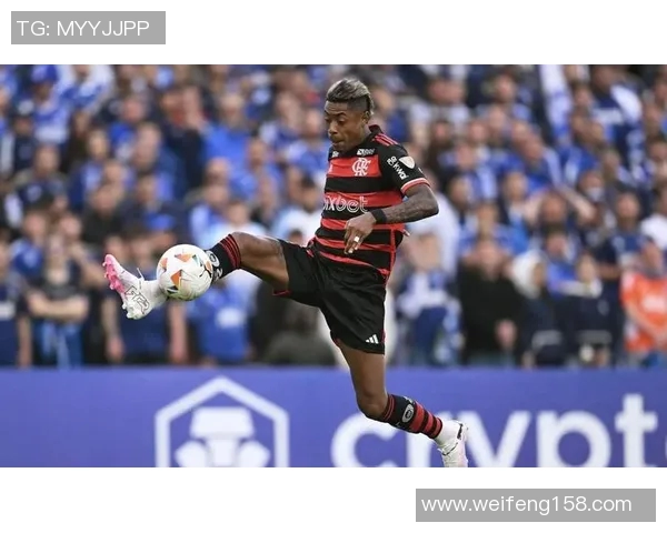 利加大学与弗拉门戈的精彩对决揭示足球战术与团队精神的较量