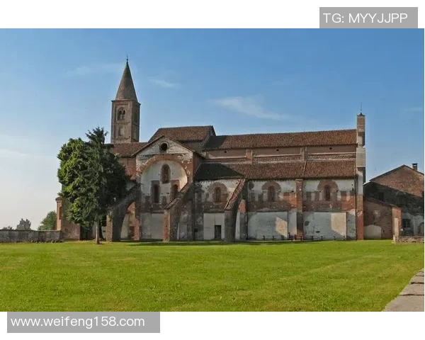 探索nvs菲律e的独特魅力与发展潜力，揭示其在现代社会中的重要角色与影响力