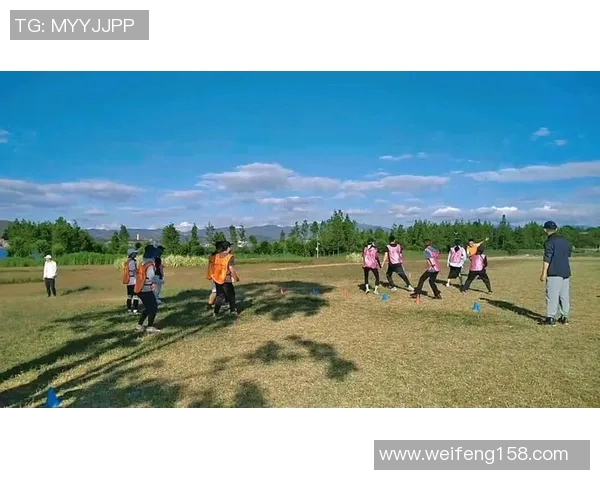 重庆飞盘队防守策略揭秘：如何在比赛中实现高效防守与反击