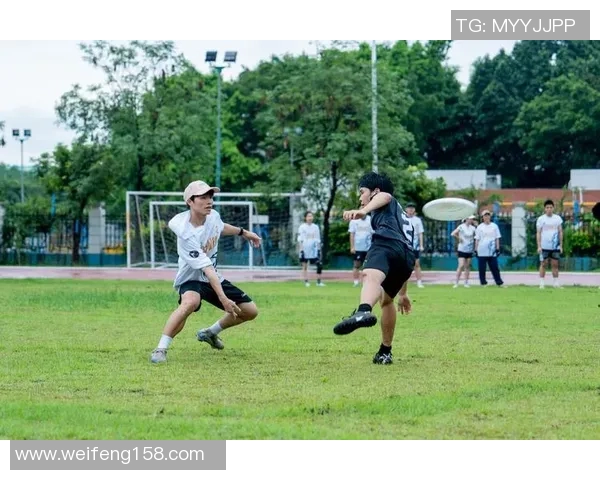 飞盘战术解析：深入探讨北京飞盘队的区域防守策略与技巧