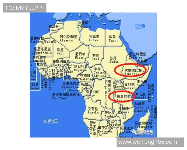 坦桑尼亚与阿尔及利亚激战比分揭晓精彩赛事回顾与分析